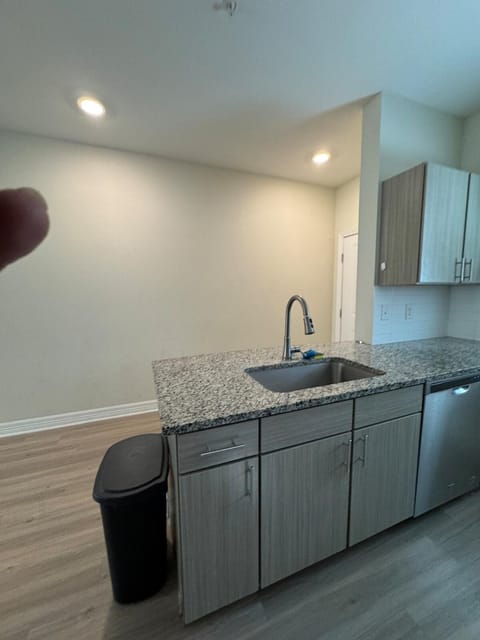 Kitchen or kitchenette, dishwasher