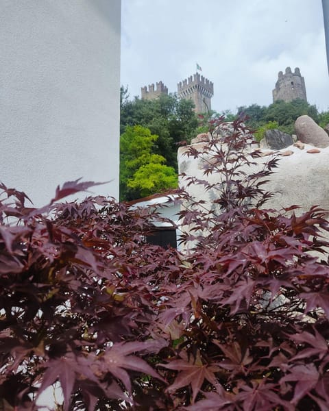 Nearby landmark, Garden, Garden view, Landmark view