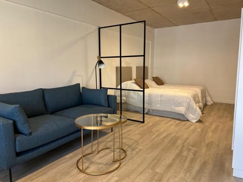 Bed, Living room, Photo of the whole room, Bedroom
