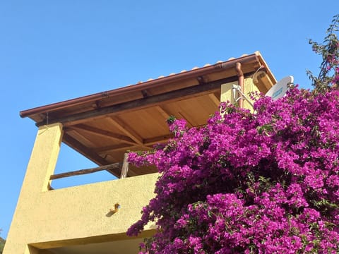 Property building, Balcony/Terrace