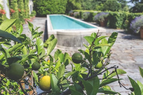 Villa La Limonera Villa in Varese