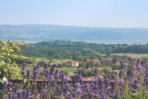 Villa La Limonera Villa in Varese