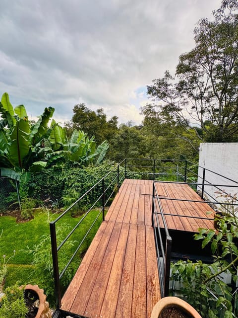 Pinecone box House in Mazamitla