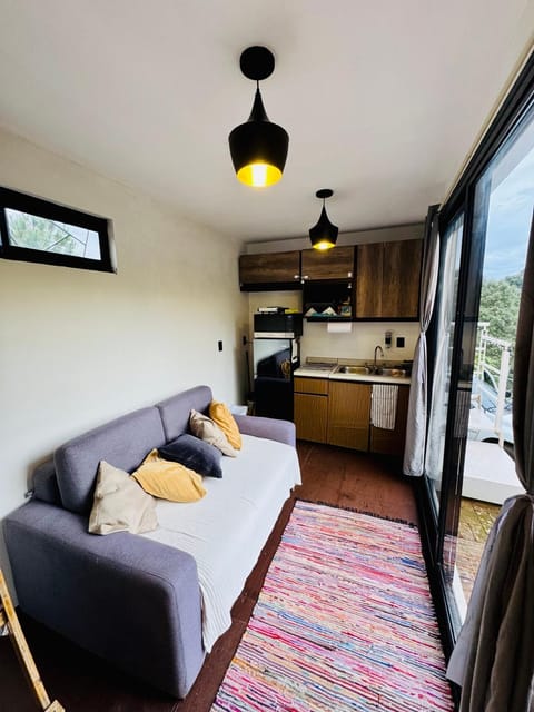 Pinecone box House in Mazamitla