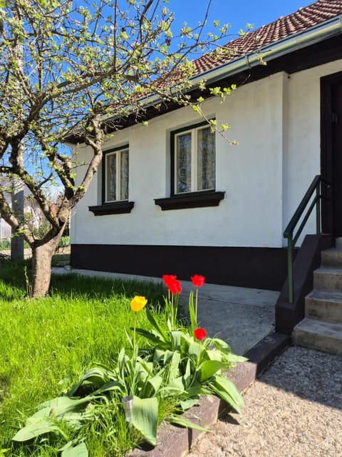 Property building, Spring, Garden, Garden, Garden view