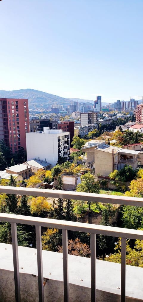 Balcony/Terrace, City view