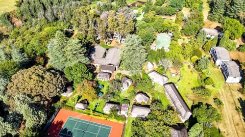 Natural landscape, Bird's eye view, Area and facilities