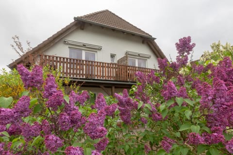 Strandhaus Malchow Apartment in Mecklenburgische Seenplatte