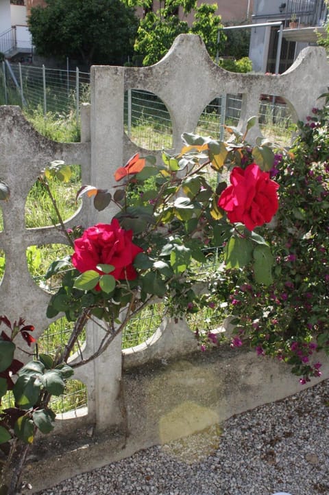 Almond b&b Bed and Breakfast in Montesilvano