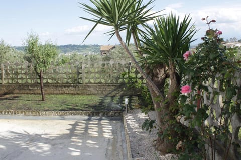 Almond b&b Bed and Breakfast in Montesilvano