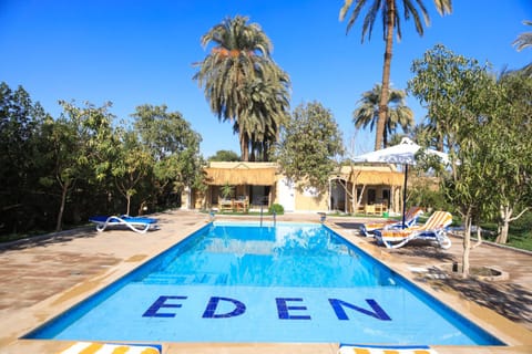 Swimming pool, Swimming pool, sunbed