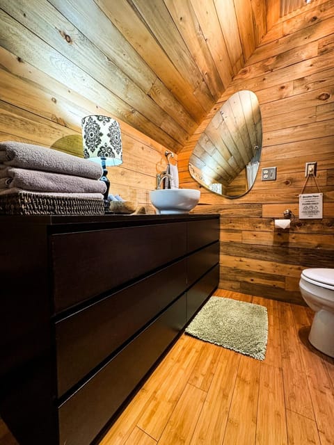 THE LOFT 3 level urban cabin with a HUGE patio! Cabin in Minnesota