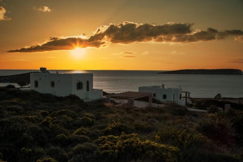 Summer, Sea view, Sunrise