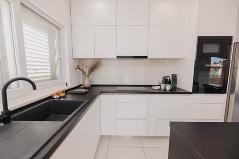 Kitchen or kitchenette, dishwasher, stove