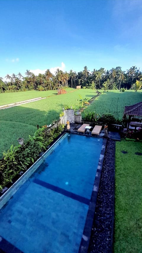 Pool view
