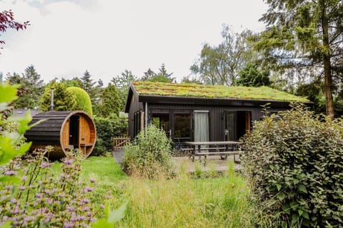 Property building, Sauna, Sauna