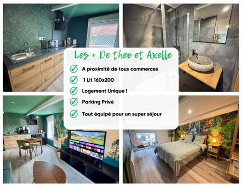 Suite Tropical-Netflix-Parking Apartment in Hauts-de-France