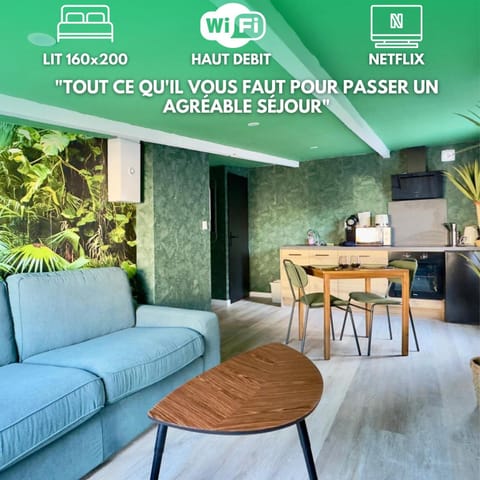 Suite Tropical-Netflix-Parking Apartment in Hauts-de-France