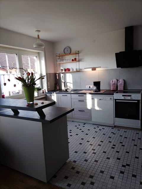 Kitchen or kitchenette, dishwasher, oven, stove