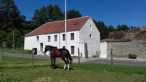 Property building, Horse-riding, Animals, Landmark view