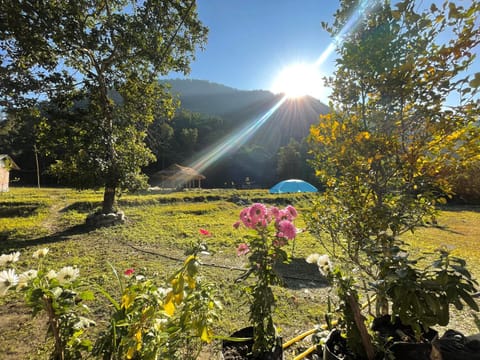 Natural landscape, Garden view