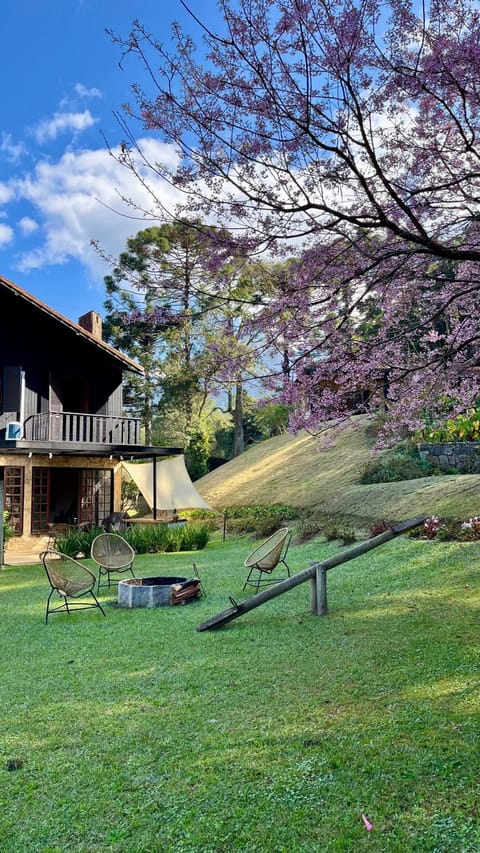 Spring, Day, Natural landscape, Garden, Garden, Garden view