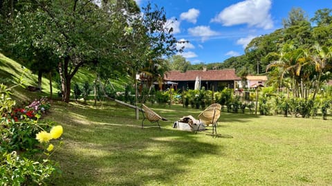 Day, Natural landscape, Garden, Garden, Garden view