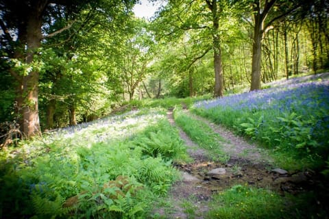 Secluded and self-contained Room with a View Apartment in Tintern