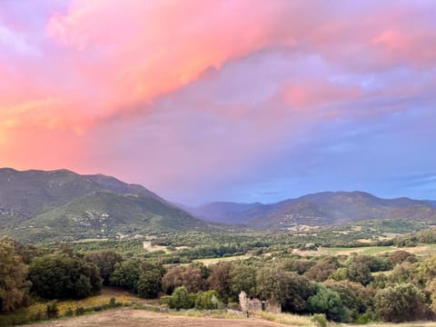 Day, Natural landscape, Garden, Mountain view