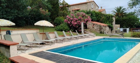 Garden, Garden view, Swimming pool, sunbed