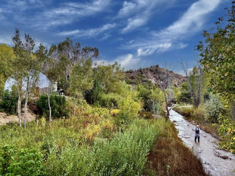 Spring, Natural landscape