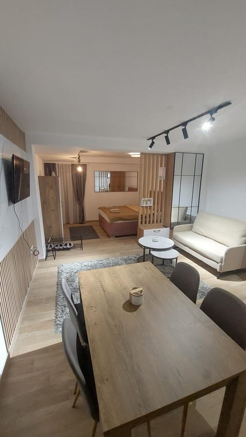 Bed, TV and multimedia, Kitchen or kitchenette, Living room, Photo of the whole room, Seating area, Dining area