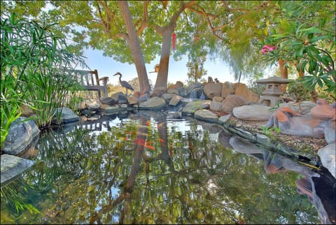 Natural landscape, Garden view