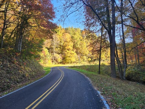 Neighbourhood, Natural landscape, Other