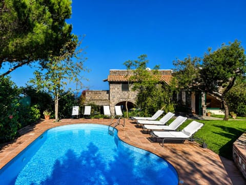 Garden, Swimming pool, sunbed