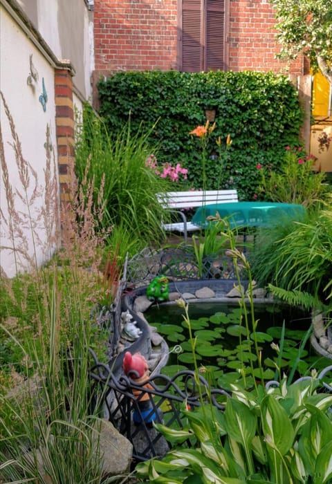 Garden, On site, Garden view