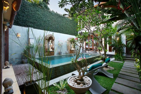 Day, Natural landscape, Garden, Garden, Garden view, Pool view, Swimming pool, sunbed