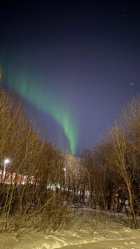 Bright and cosy dorm Apartment in Tromso