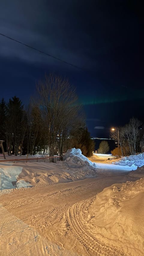Bright and cosy dorm Apartment in Tromso