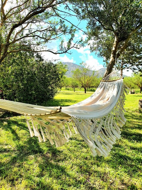 Day, Natural landscape, Garden, Garden view