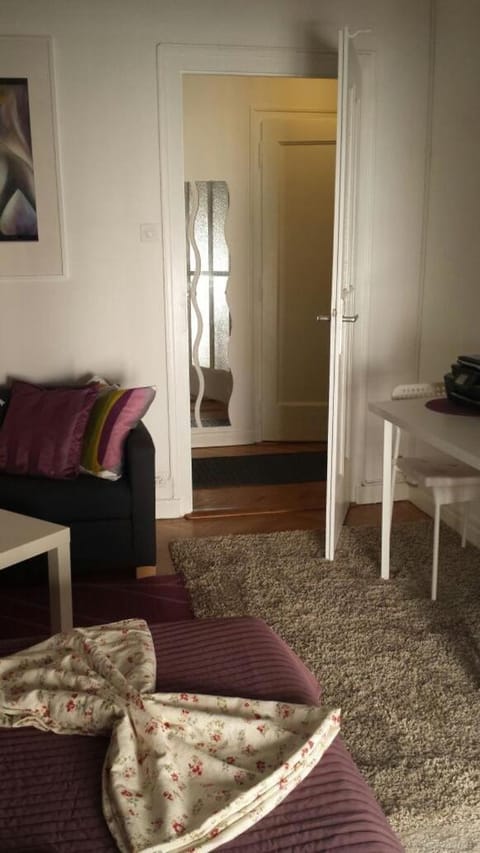 Amazing Studio in Geneva Apartment in Geneva