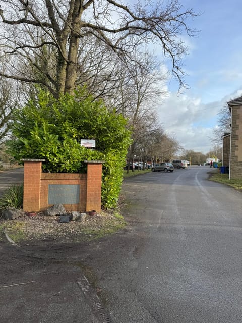 Spring, Day, Neighbourhood, Street view, Parking