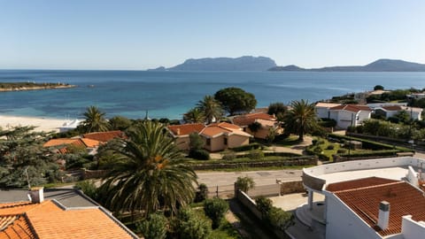 Bird's eye view, Sea view
