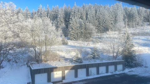 Evasion Gérardmer Apartment in Xonrupt-Longemer