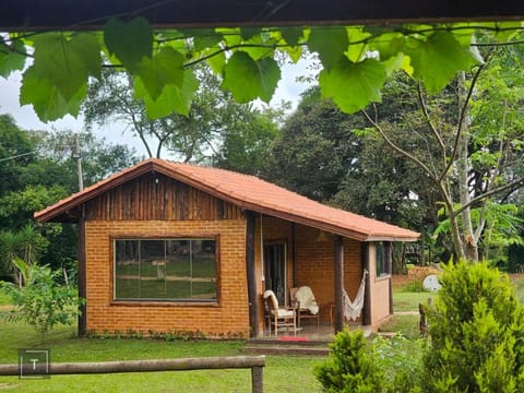 Day, Garden, Garden view