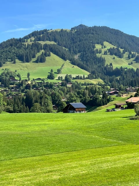 Spring, Day, Natural landscape, Mountain view
