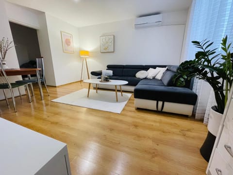 Living room, Seating area, air conditioner