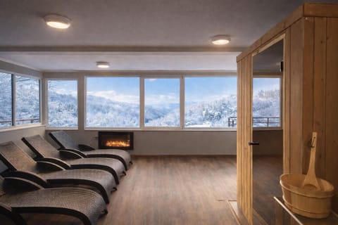 Natural landscape, Winter, Hot Tub, Sauna, Spa and wellness centre/facilities, Mountain view
