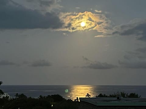 Keauhou Akahi 208 House in Honalo