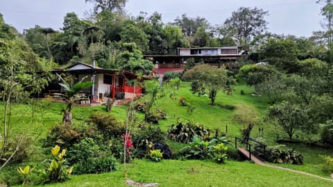 Natural landscape